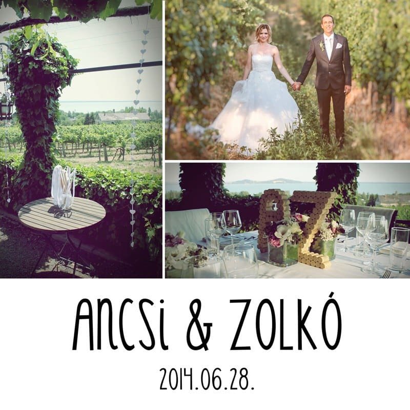 Natural Wedding Decor - winyard, cork, white, teddy bear, Winnie the Pooh, heart