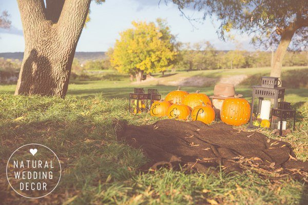 Natural Wedding Decor - autumn, pumpkin